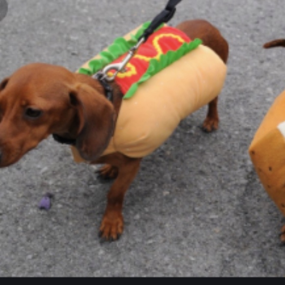 Other Dog Hot Dog Costume Poshmark